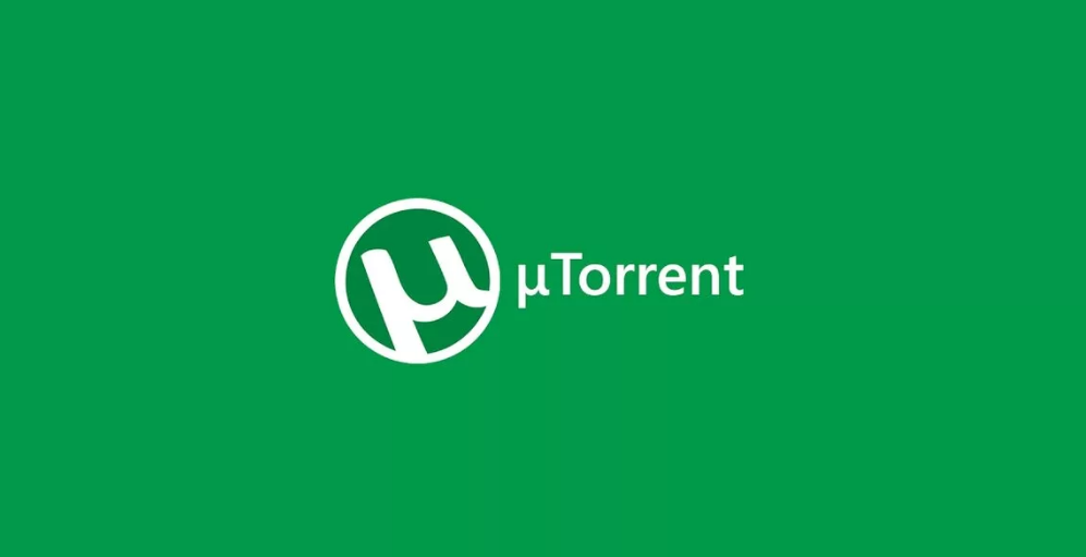 Обзор программы Торрент